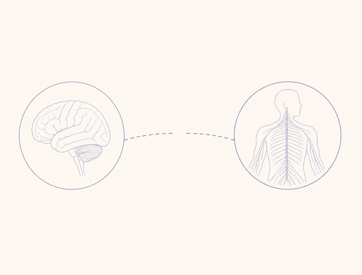 Diagramma: mente e sistema nervoso separati da un ponte interrotto
